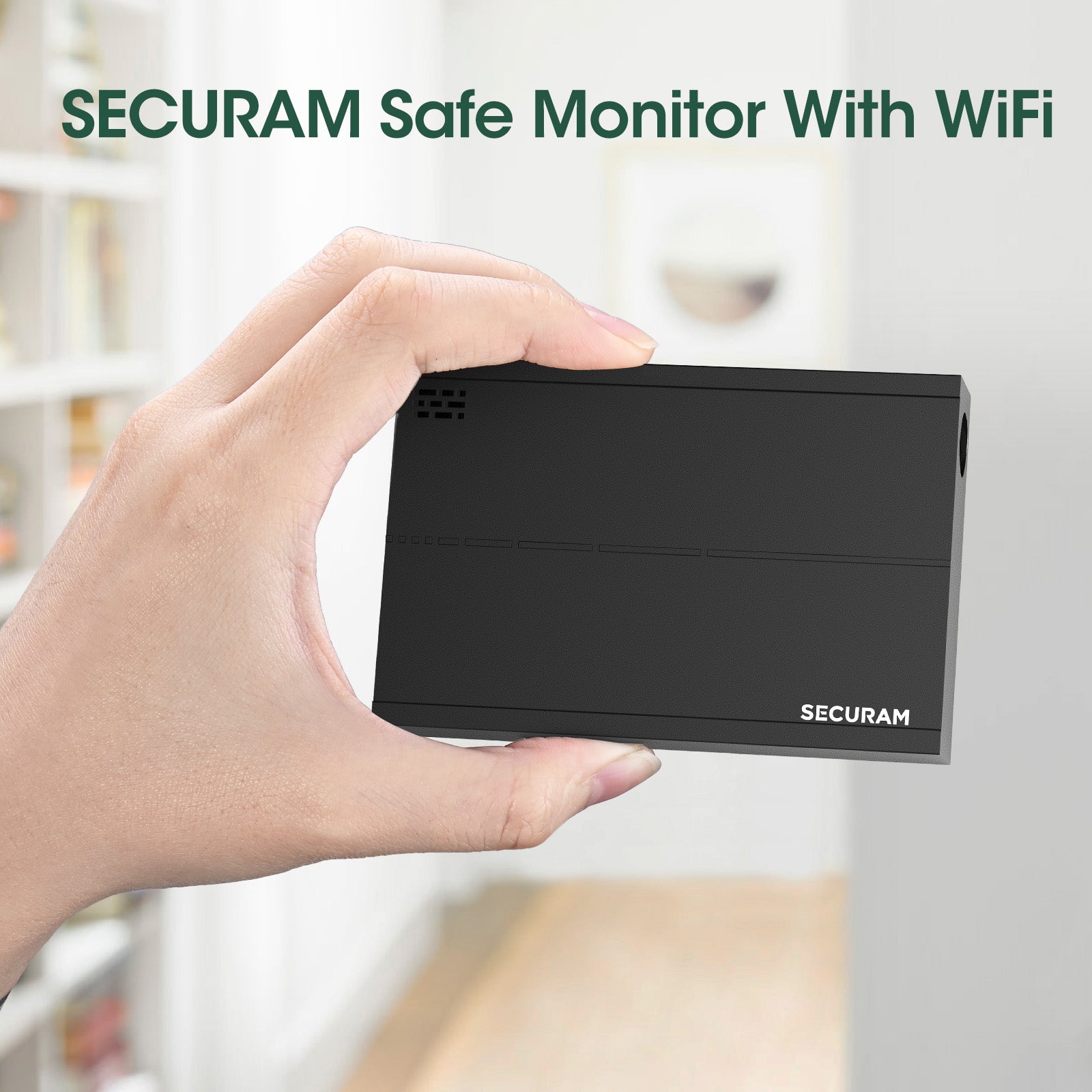 SECURAM Safe Monitor